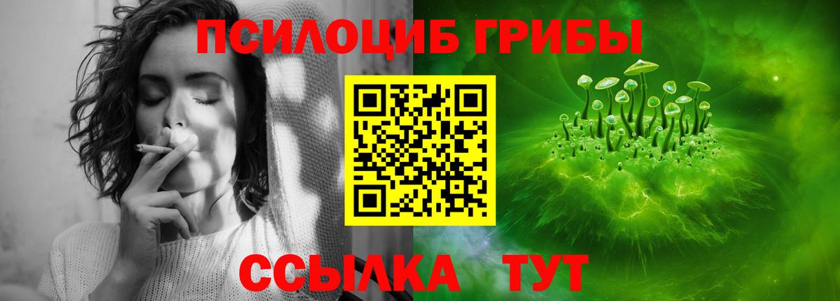 Галлюциногенные грибы прущие грибы  наркотики  Псилоцибиновые грибы мицелий  Кимовск  Вход с VPN 